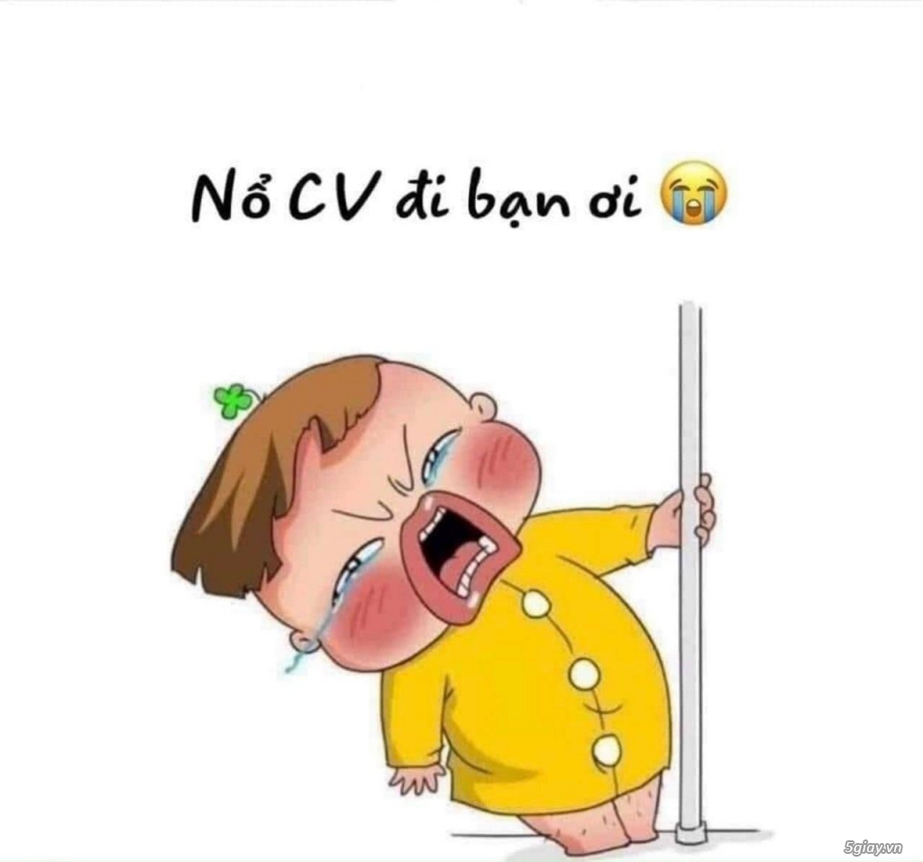 Tuyển dụng tháng 3